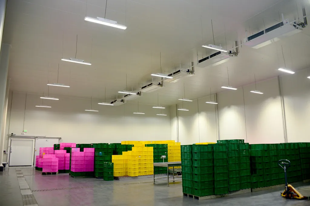 Cámara frigorífica para alimentos con panel aislante · panel sándwich con entrega en Veracruz