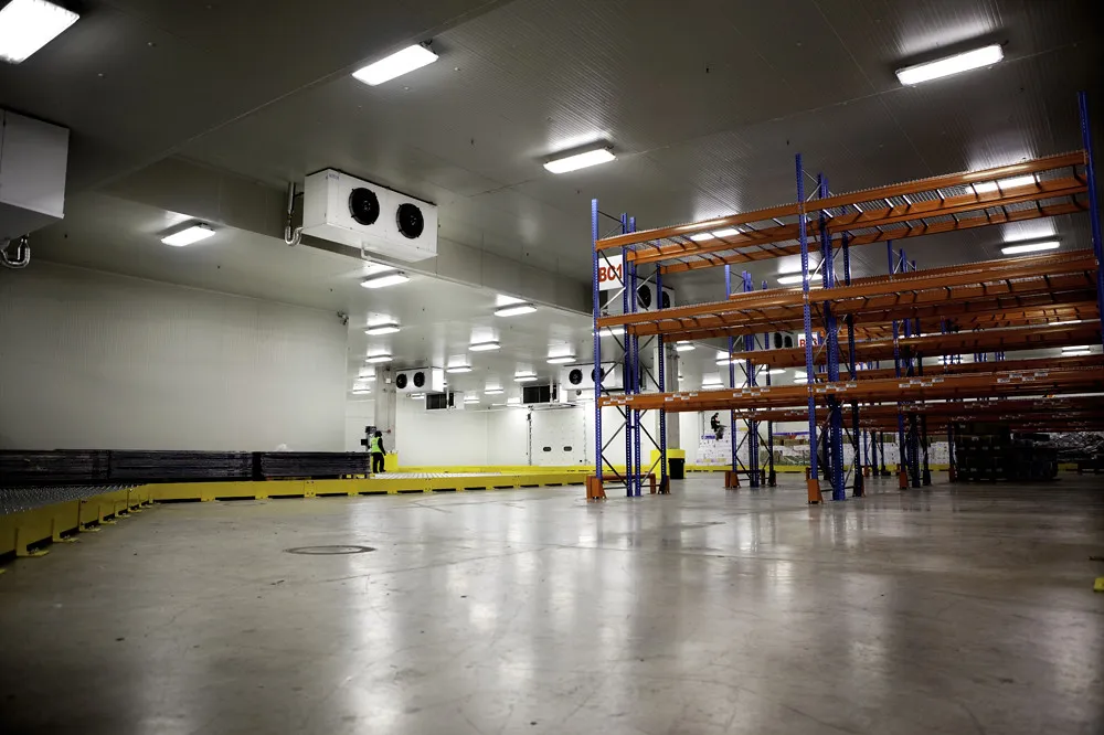 Cámara frigorífica con racks construida con panel para cuarto frío · panel sándwich con entrega en Aguascalientes