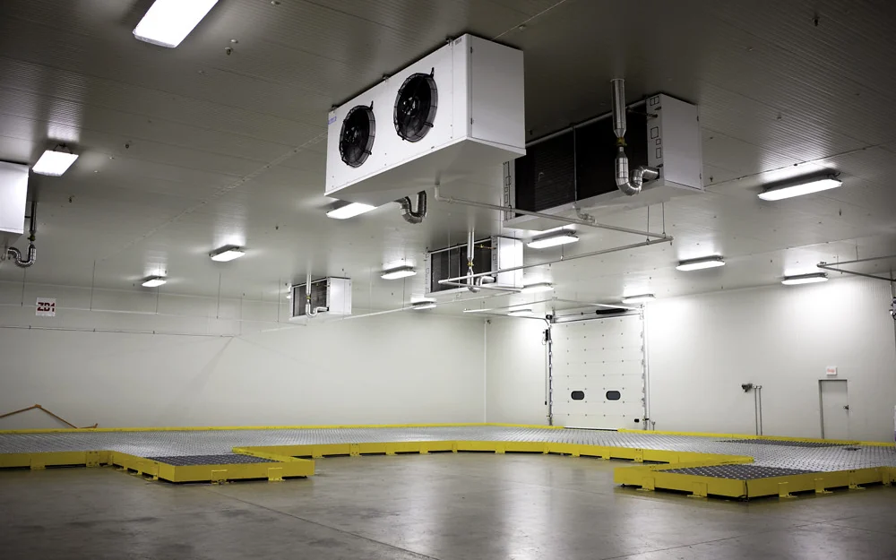 Cámara de refrigeración con muros y plafón de panel para cuarto frío