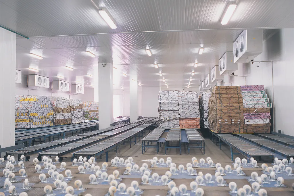 Sala de proceso de alimentos con panel sanitario en muros y plafón · panel sándwich con entrega en Veracruz